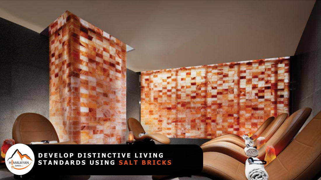 Develop Distinctive Living Standards Using Salt Bricks
