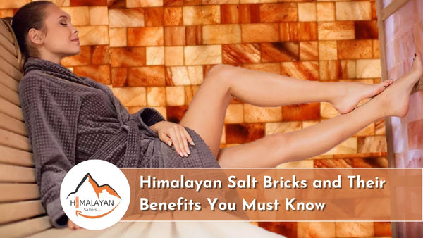 Himalayan salt bricks wholesale